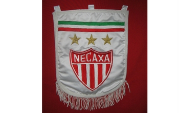 Asta bandera