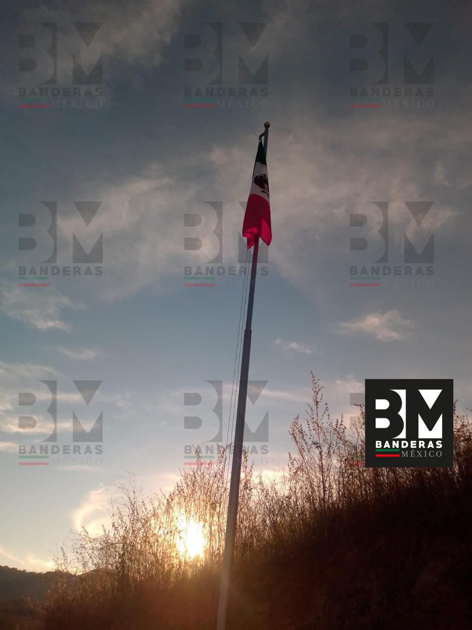 Asta para bandera monumental